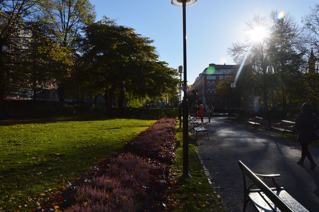 Een fijn park voor de deur, om even van je koffie to go te kunnen genieten