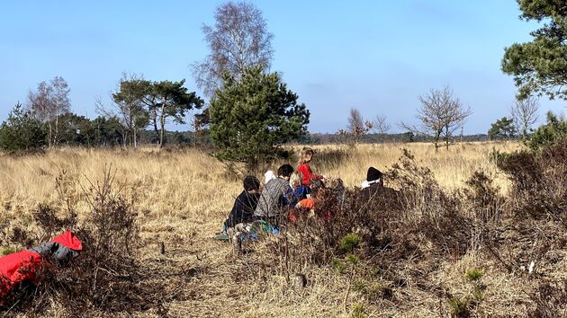 Picnic in het vroege voorjaar als de bomen nog kaal zijn