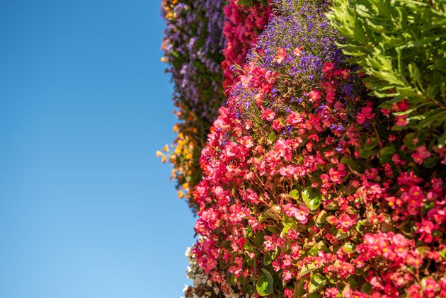 Het kunstwerk is versierd met 70.000 echte bloemen die twee keer per jaar ververst worden