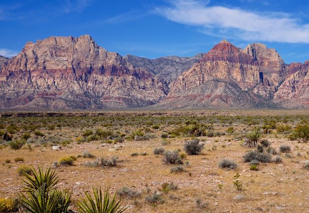 Trouwen in het prachtige Red Rock Canyon