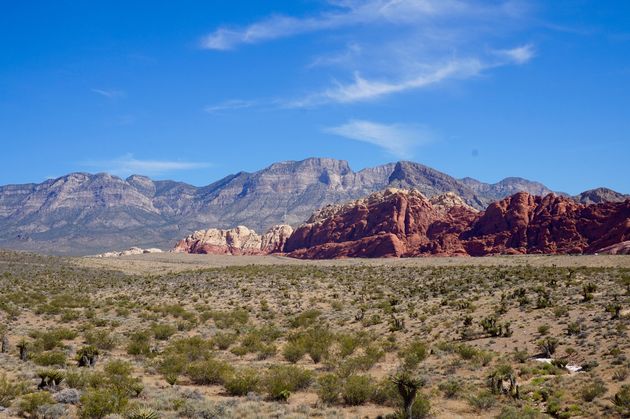 Dichtbij Las Vegas vind je rust en schitterende natuur