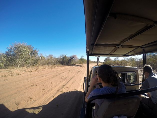 Reis vanuit Kasane de nationale parken van Botswana in.