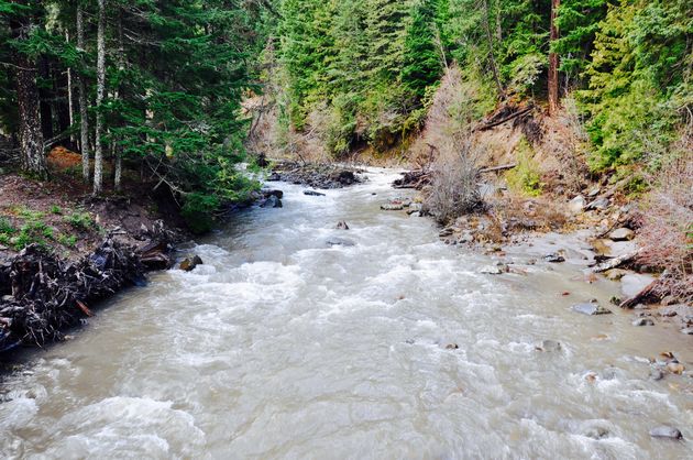 De natuur in Oregon is ongerept en indrukwekkend