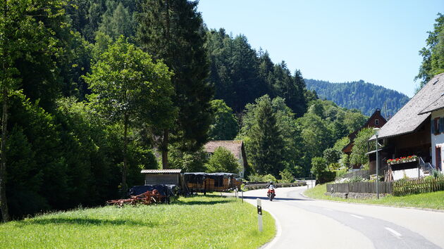 Een roadtrip door het Zwarte Woud via stuurmanswegen door prachtige natuur