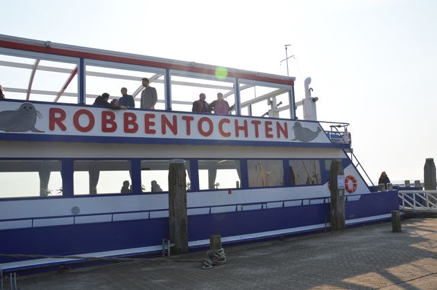 Met de robbenboot heb je 100 procent garantie om zeehonden of robbben te spotten