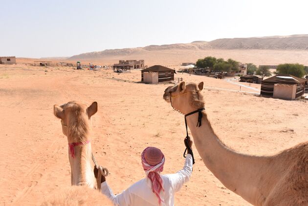 Slapen in het 1000 Nights Camp in de woestijn