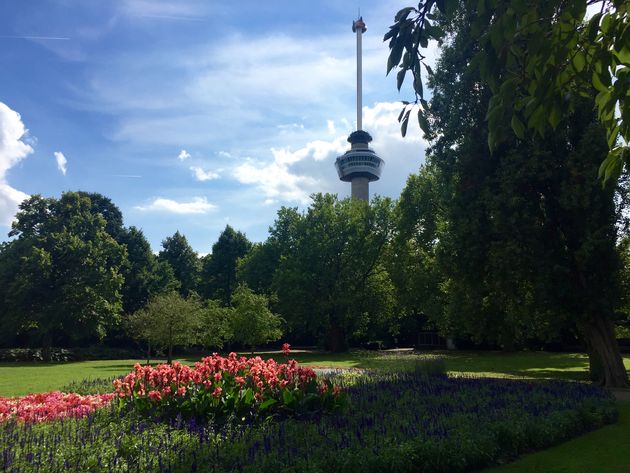 Het Park met op de achtergrond de Euromast