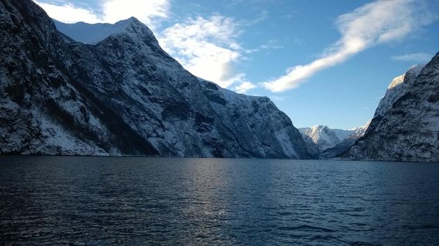 Het uitzicht tijdens de fjordsafari