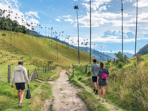 De hike begint en eindigt in de vallei, waar de hoge palmbomen staan