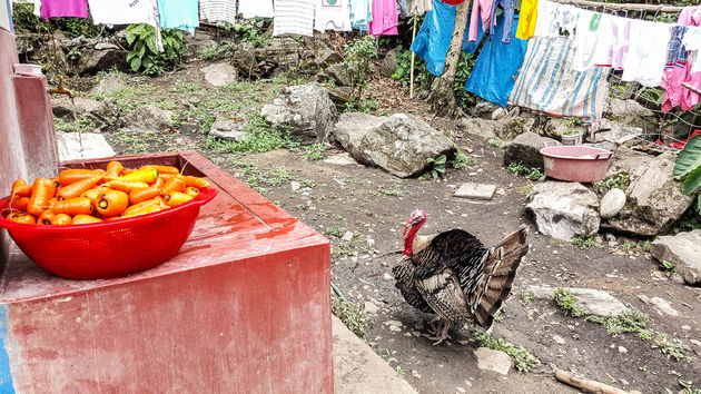 Salkantay-Trek-eten