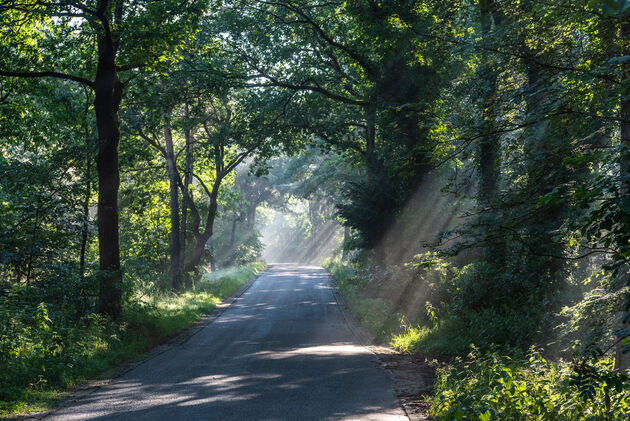 `s Morgens vroeg in Salland schijnen er lichtbundels op de weg