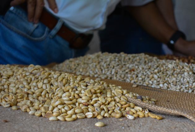 Hondurese koffie: vol van smaak