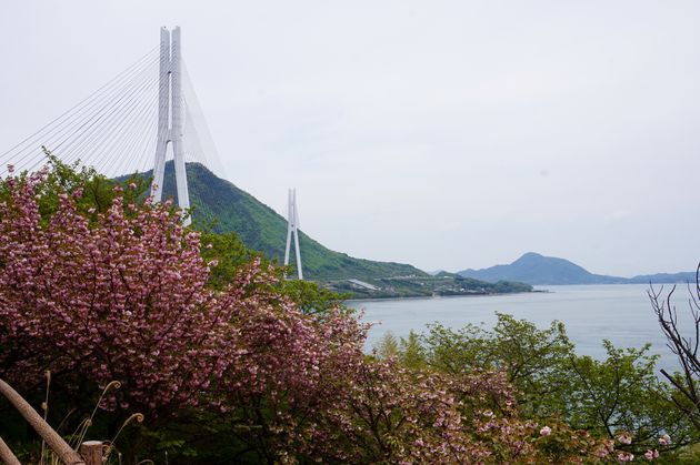 Shimanami-Kaido-cycling-path-2