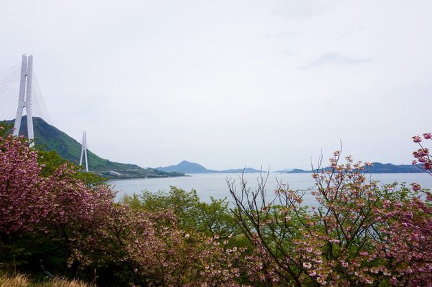 Shimanami-Kaido-cycling-path-3