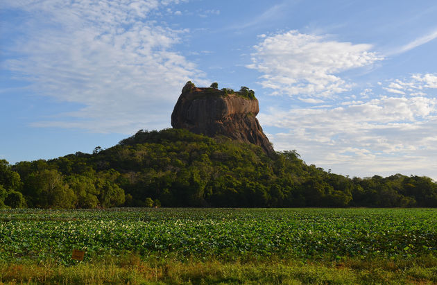 Beklim Lion Rock