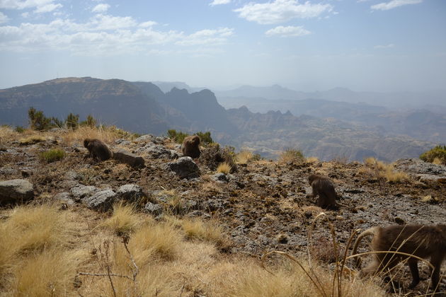 Simien Mountains National Park