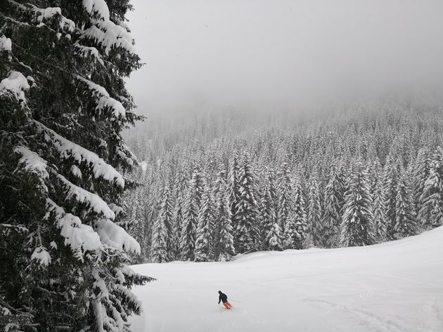 Heerlijk om zo tussen de bomen te kunnen ski\u00ebn