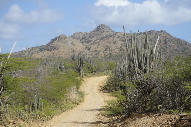 Er zijn dus ook zowaar `bergen` op Bonaire ;).