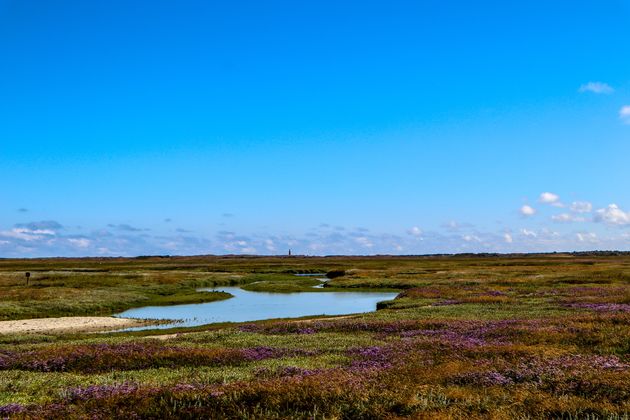 Prachtig om hier te wandelen, zie je de vuurtoren al op de achtergrond?