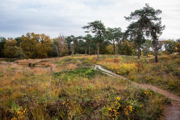 Een wandelroute van ruim 8 kilometer, puur genieten!