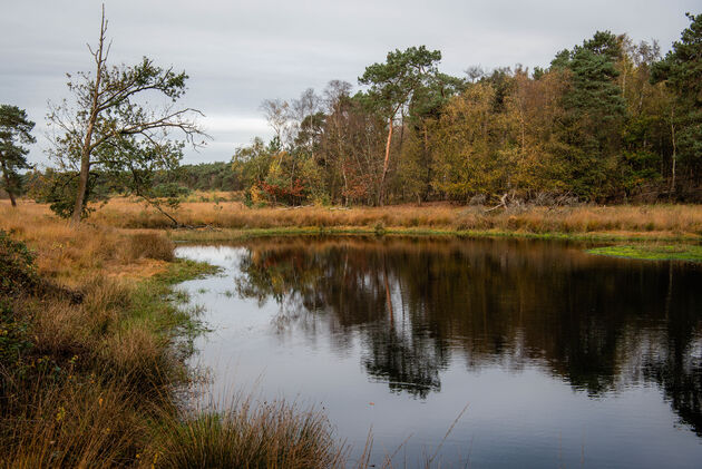 De route loopt langs idyllische vennetjes