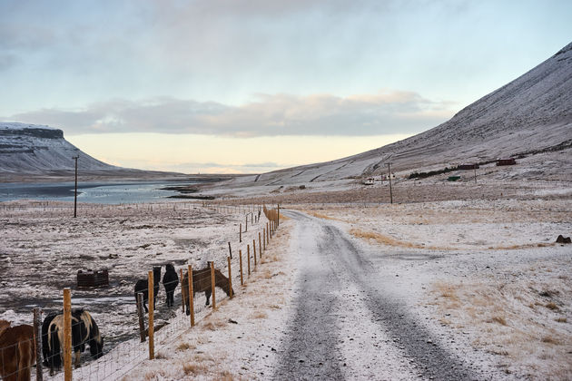 Weggetje vlakbij Kirkjufellsfoss