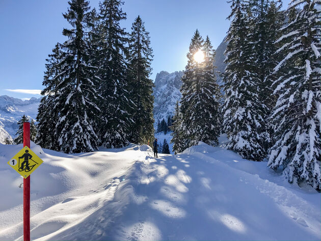 Of ga eens sneeuwschoenwandelen