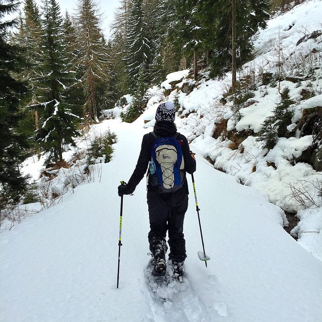 Een sneeuwschoenwandeling door de bossen van Galt\u00fcr