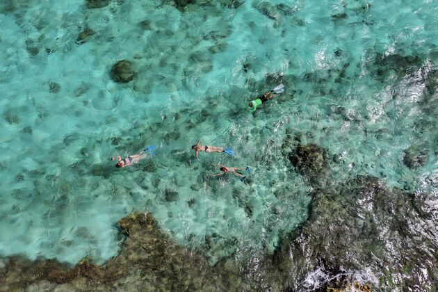 <em>Snorkelen is leuk! Koop je eigen snorkelset en neem deze mee.<\/em>