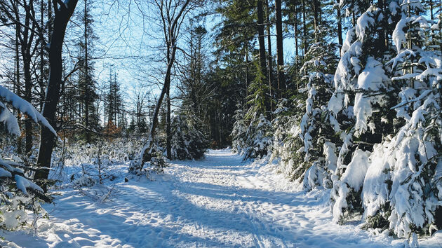 In de winter is het een magisch sprookje