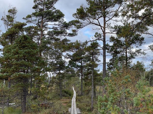 <em>Maak een wandeling door het bijzondere Nationaal Park Store Mosse.<\/em>