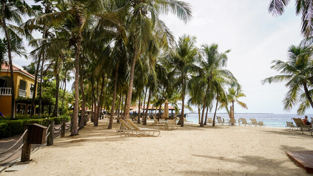 <i>Een fijn priv\u00e9strand met allerlei services zoals handdoeken lenen</i>