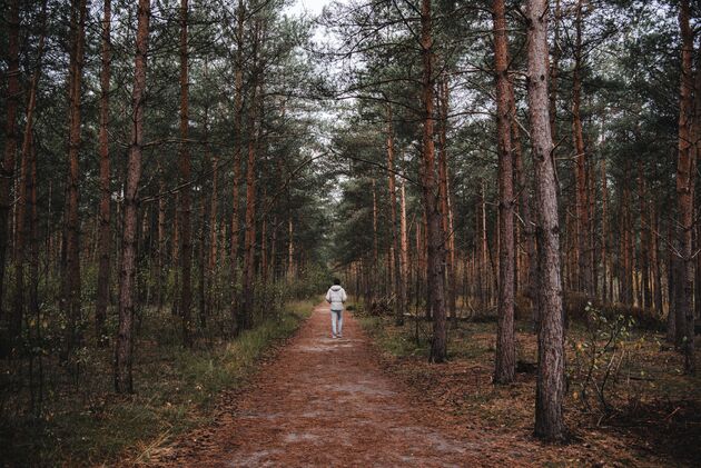 Zin om te wandelen in Brabant? Deze route is echt een aanrader