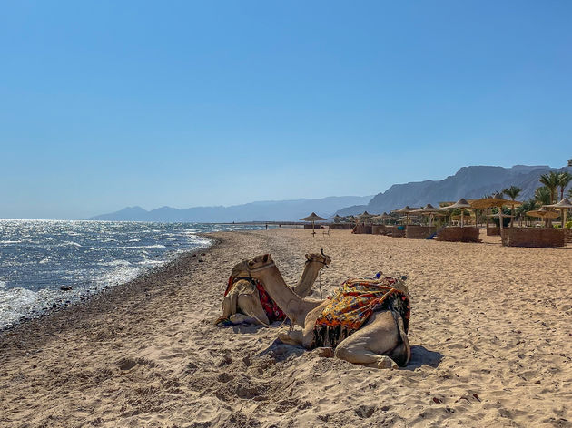 En er is altijd een strand in de buurt