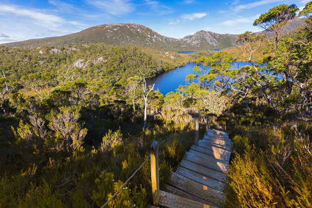 Lake Lilla op eiland Tasmani\u00eb Foto: sasimoto - Adobe Stock