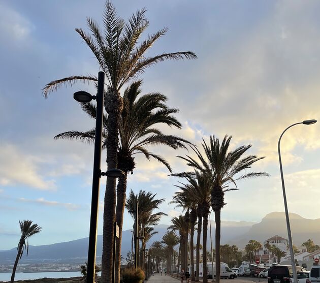 <em>Op Tenerife ben je het hele jaar zeker van zon en wuivende palmbomen.<\/em>