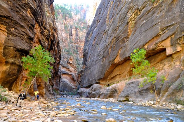 Hiken door The Narrows in Zion National Park: zet dat maar op je bucket list!