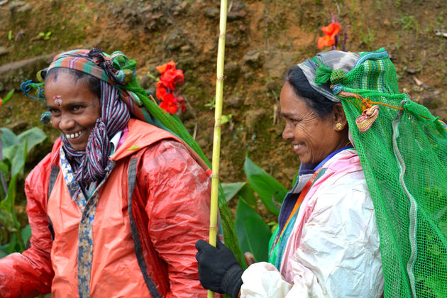 Lieve Sri Lankaanse dames