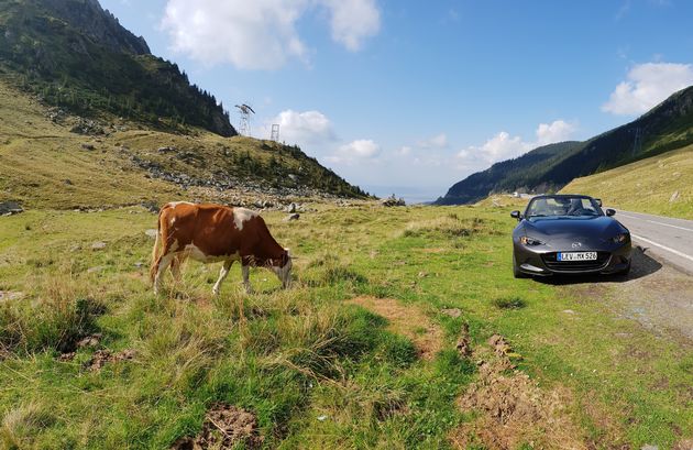 De Transfagarasan Road een weg die echt op je bucketlist kunt zetten