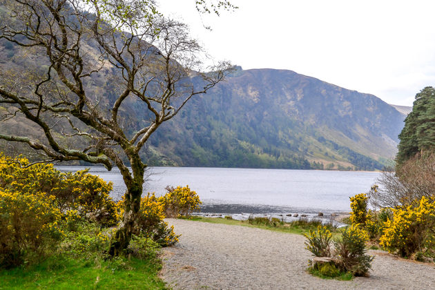 We begrijpen wel waarom het gebied bekend staat als `de tuin van Ierland`