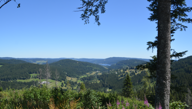 Het uitzicht vanaf de Feldberg richting Titisee