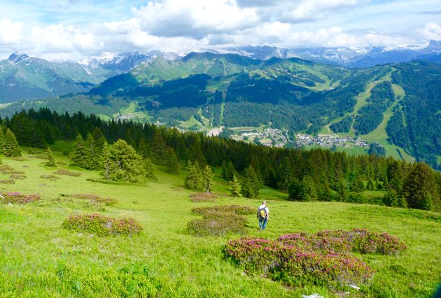 De zomer is het perfecte moment voor zo`n heerlijke natuurwandeling