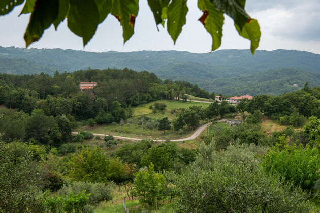 Uitzicht vanuit Hum, op het groene en glooiende binnenland van Istri\u00eb