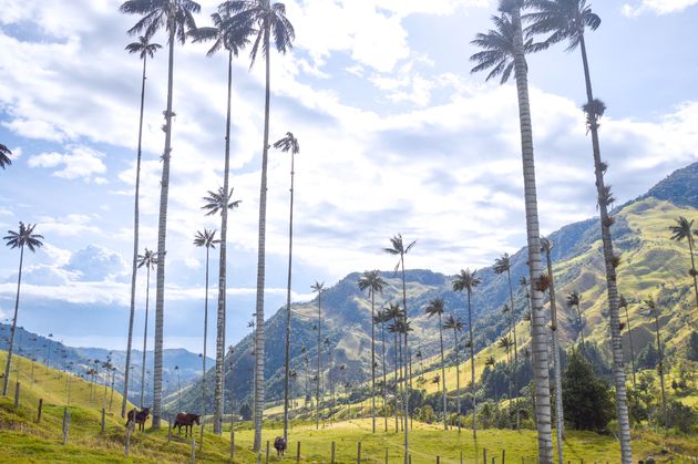 Maak een avontuurlijke rondreis door Colombia