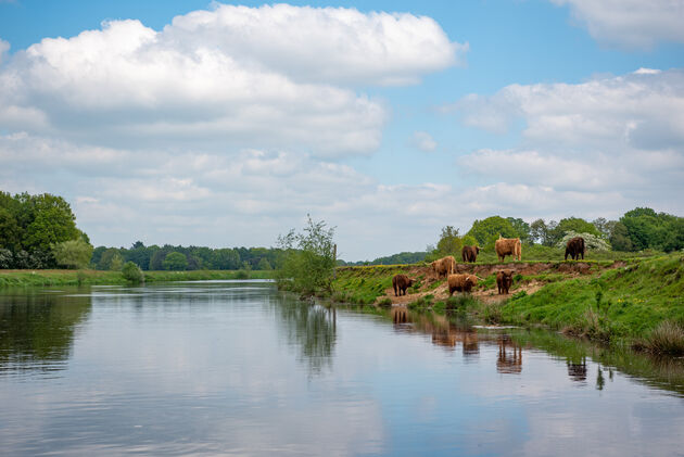 Varen over de Vecht met bekijks van Overijssels wildlife