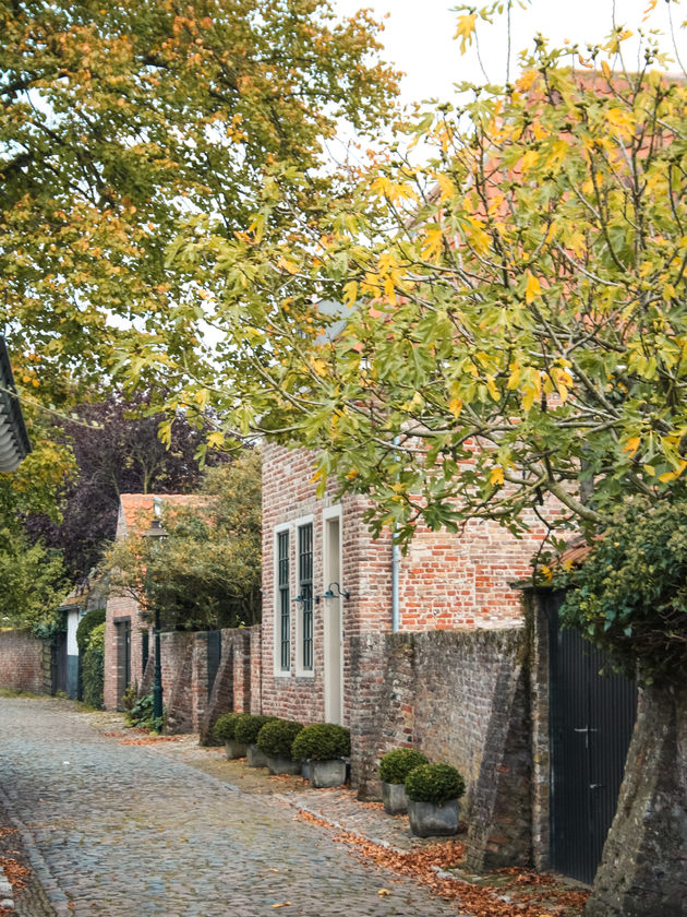 Veere bestaat uit allerlei van dit soort pittoreske straatjes