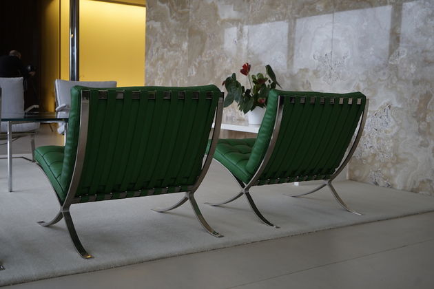 Villa Tugendhat - De Barcelona chair