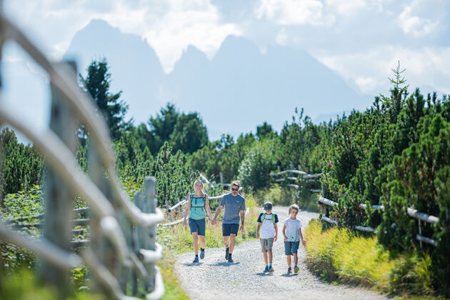 Wandelen over de uitgestrekte alpenweides van Villanders\u00a9 Harald Wisthaler