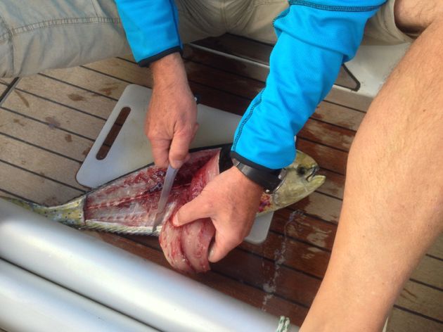 Zelf verse vis fileren op de boot