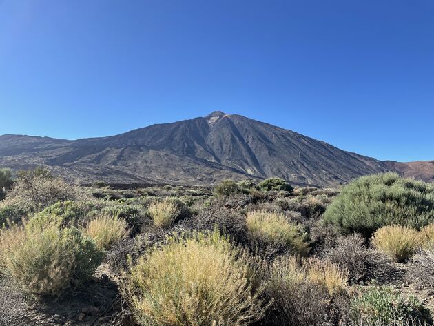 <em>Het maandlandschap rondom El Teide is behoorlijk surrealistisch<\/em>